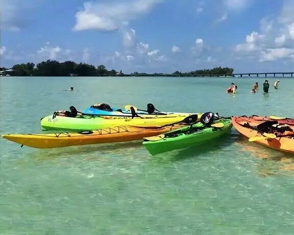 Longboat Key Kayak Tours Activities and Attraction